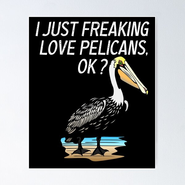 Funny Pelican Mug Pelican Lover Gift Idea I Just Really Like Pelicans, Okay  Pelican Present 