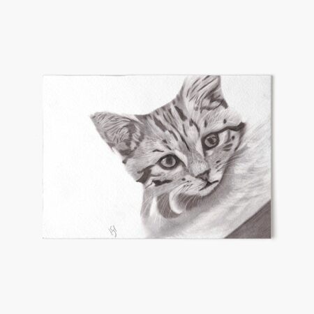 Item preview, Peeking Tabby cat! designed and sold by Heidi-Fine-Art.