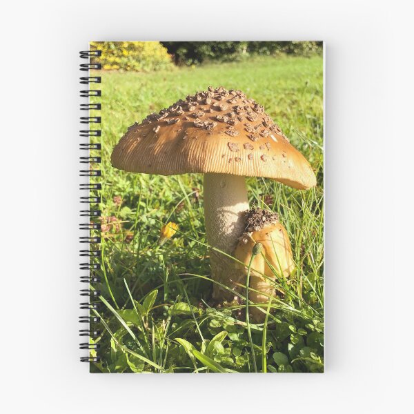 Item preview, Mushroom designed and sold by Triceraturtle.