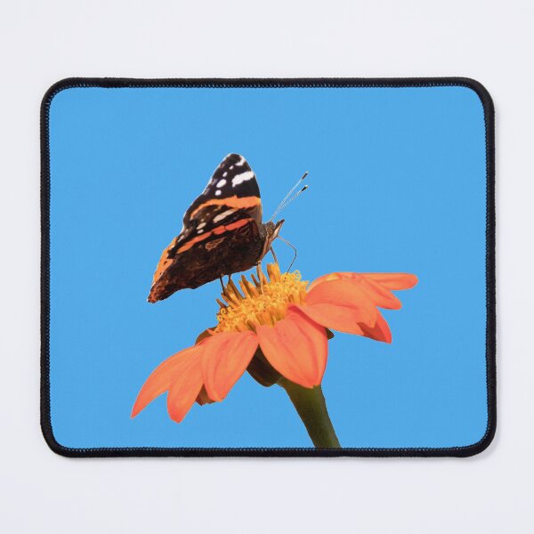 Item preview, admiral designed and sold by Katja LebenFreude.
