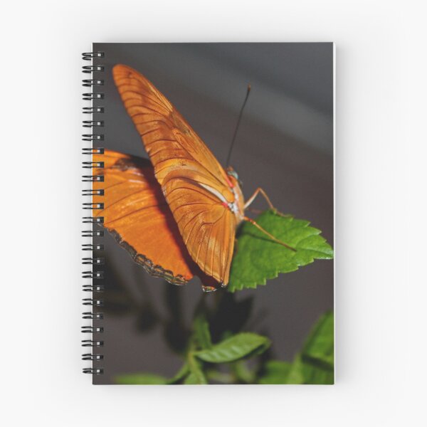 Item preview, A Julia Butterfly II designed and sold by Michiale.