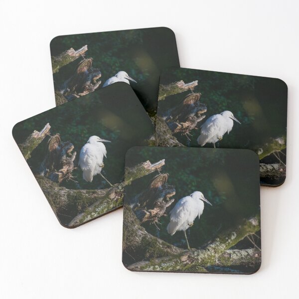 Item preview, Little Egret, Tree designed and sold by Shot-By-Reedy.