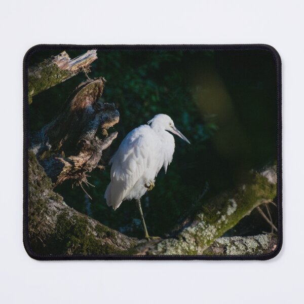 Item preview, Little Egret, Tree designed and sold by Shot-By-Reedy.