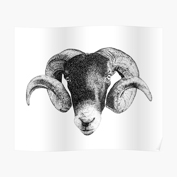 The Goat Poster For Sale By Dot By Dot Redbubble 