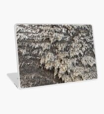 Salt Mine Laptop Skin