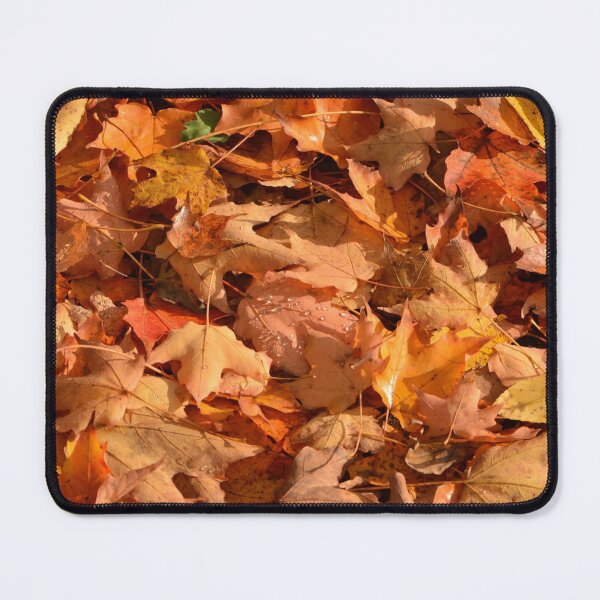 Artikelvorschau, Orange Herbstblätter entworfen und verkauft von brusifur.