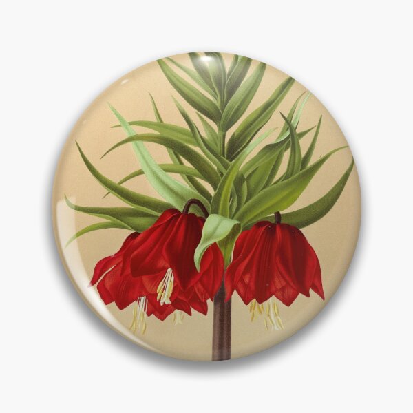 Item preview, Crown Imperial poster - Fritillaria imperialis Rubra - botanical illustration designed and sold by chimakingthings.