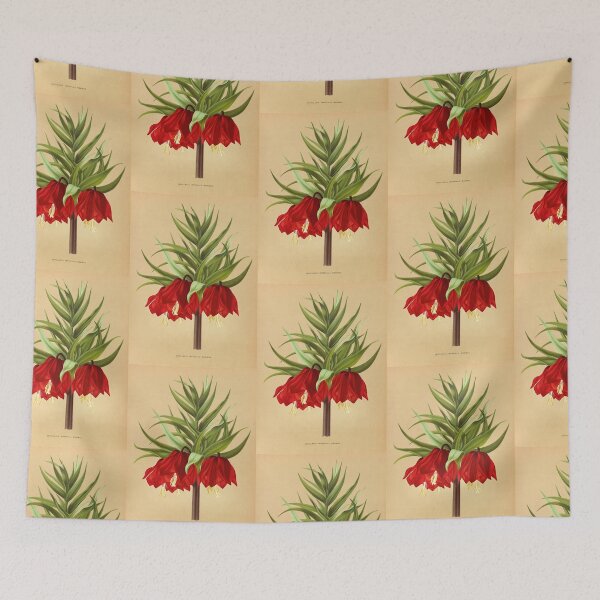 Item preview, Crown Imperial poster - Fritillaria imperialis Rubra - botanical illustration designed and sold by chimakingthings.