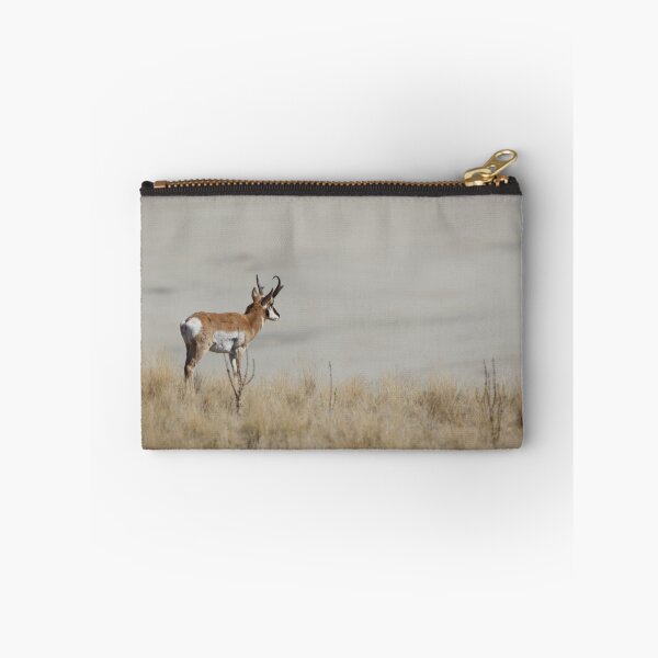 Item preview, Pronghorn Antelope,  Antelope Island, Utah,  designed and sold by jvoweaver.