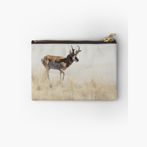 Item preview, Pronghorn Antelope,  Antelope Island, Utah,  designed and sold by jvoweaver.