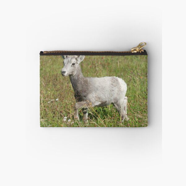 Aperçu de l'œuvre Bébé chèvre, parc national de Banff, Alberta Canada créée et vendue par jvoweaver.