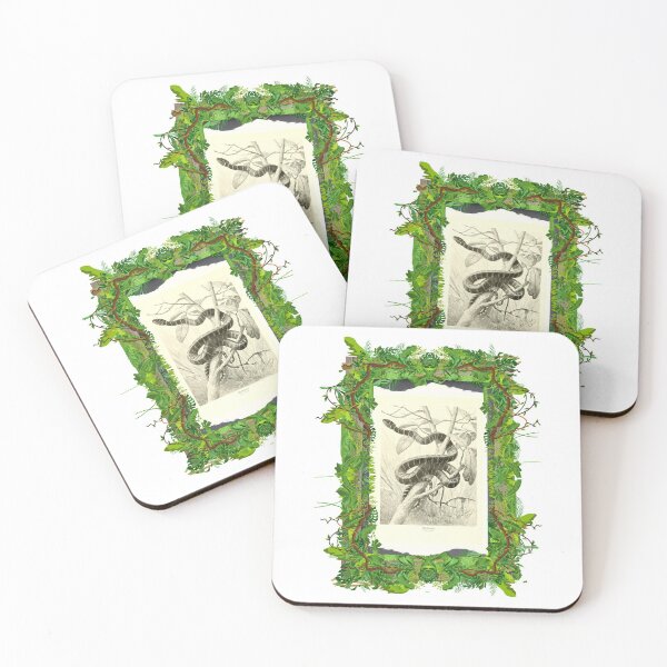 Item preview, Zoological board Ularburong snake - Zoological designs and zoology boards designed and sold by AdvanceDesign.