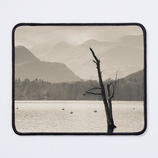 Item preview, Skeletal Tree at Ullswater in the Lake District designed and sold by heidipics.