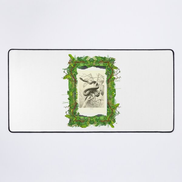 Item preview, Zoological board Ularburong snake - Zoological designs and zoology boards designed and sold by AdvanceDesign.