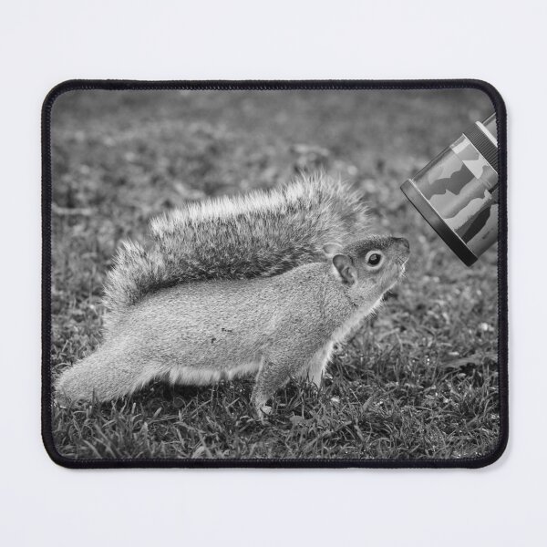 Item preview, Inquisitive Grey Squirrel designed and sold by heidipics.