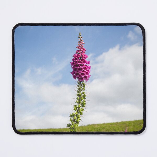 Item preview, Foxglove designed and sold by heidipics.
