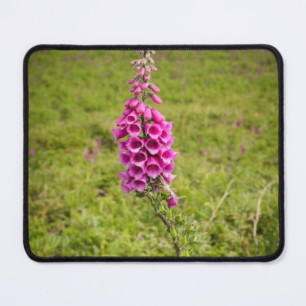 Item preview, Foxglove designed and sold by heidipics.