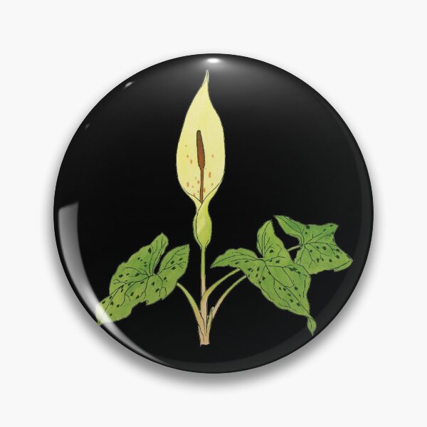 Item preview, Arum maculatum - botanical illustration designed and sold by chimakingthings.