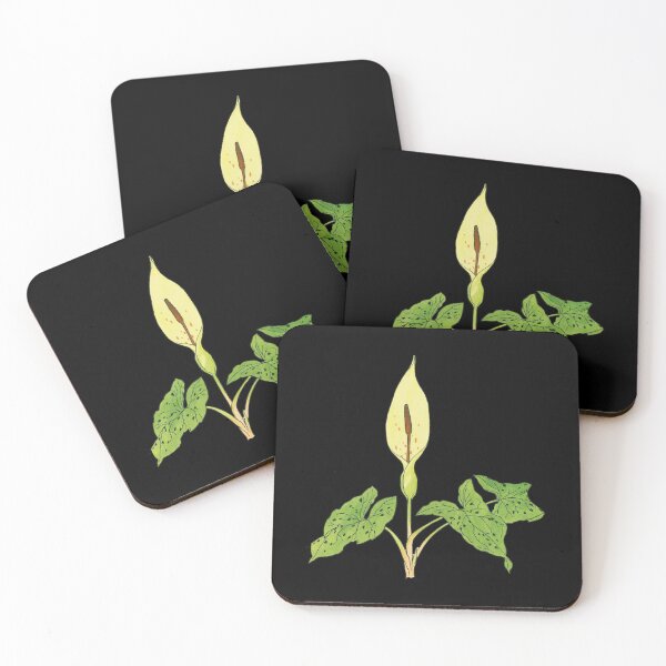 Item preview, Arum maculatum - botanical illustration designed and sold by chimakingthings.