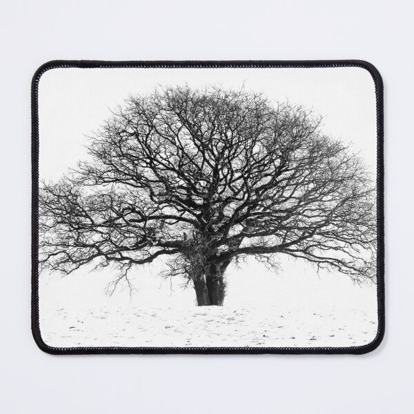 Item preview, The Old Oak Tree designed and sold by heidipics.