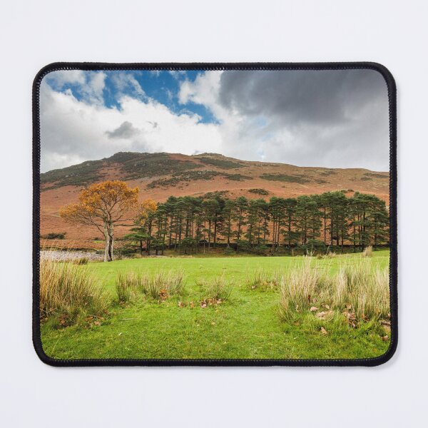 Item preview, Trees at Crummock Water designed and sold by heidipics.