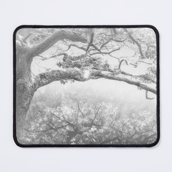 Item preview, The Magic Tree designed and sold by heidipics.