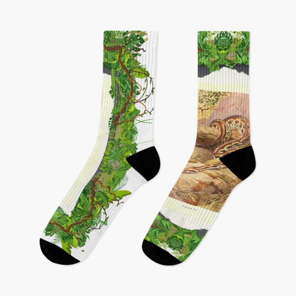 Item preview, Zoological board Madagascar boa snake - Zoological designs and zoology boards designed and sold by AdvanceDesign.