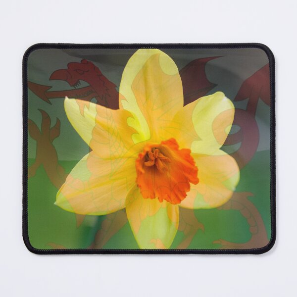 Item preview, Proud To Be Welsh designed and sold by heidipics.