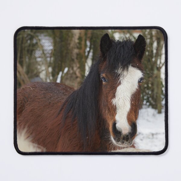 Item preview, Brown Horse in Snow designed and sold by heidipics.