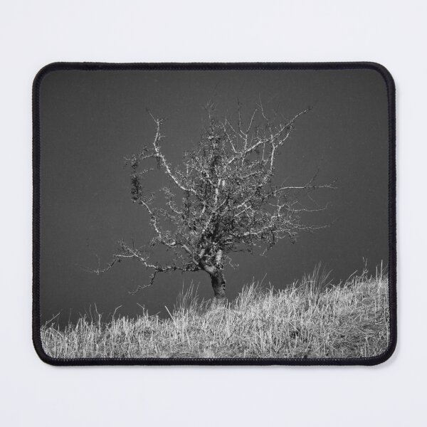 Item preview, Magic Tree designed and sold by heidipics.