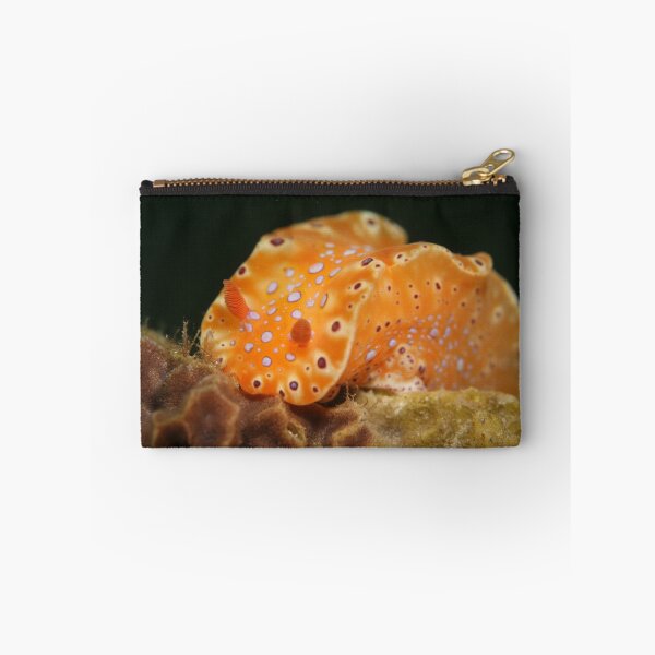 Item preview, Nudibranch - Ceratosoma brevicaudatum designed and sold by Adam Walters.