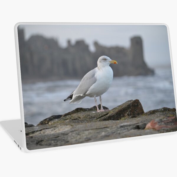 Seagull in Front of St Andrews Castle Laptop Skin