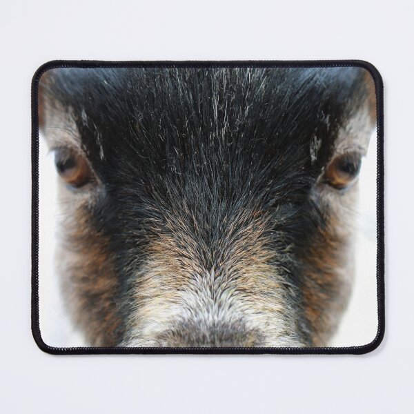 Item preview, Goat Portrait designed and sold by StampCity.