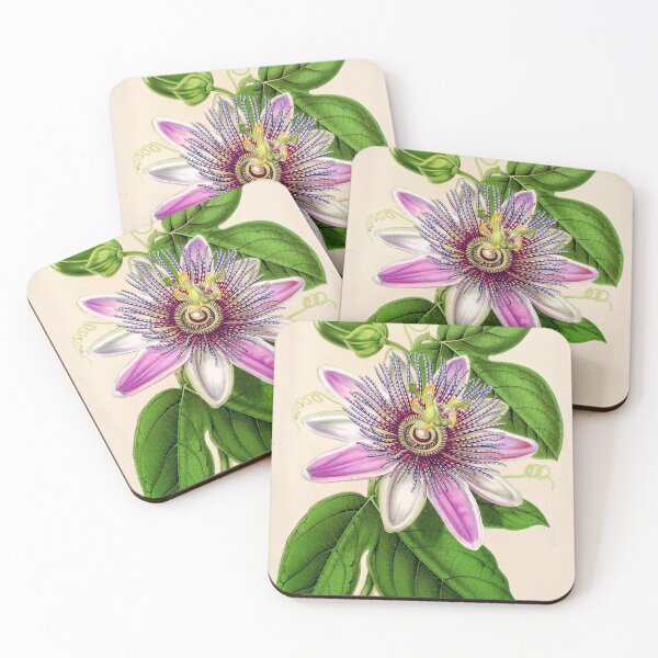 Item preview, Passion Flower - Passion Vine botanical illustration designed and sold by chimakingthings.