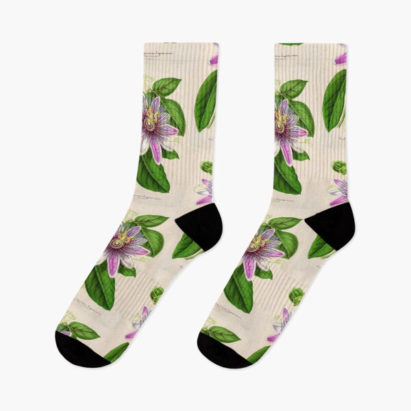 Item preview, Passion Flower - Passion Vine botanical illustration designed and sold by chimakingthings.