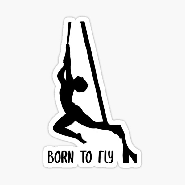Aerial silks - born to fly  Sticker