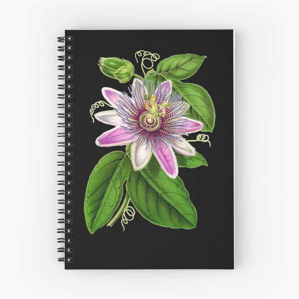 Item preview, Passion Flower - Passion Vine botanical illustration designed and sold by chimakingthings.