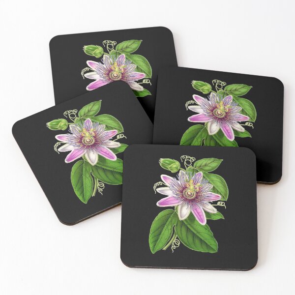 Item preview, Passion Flower - Passion Vine botanical illustration designed and sold by chimakingthings.