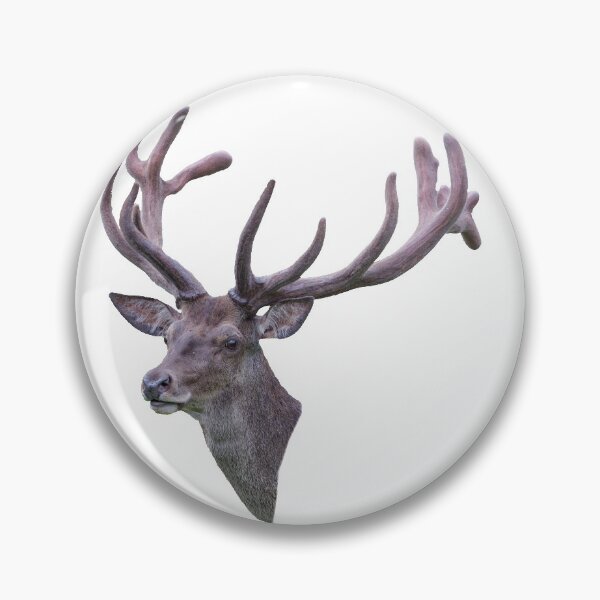 Item preview, Red deer in bast designed and sold by Ingo Gerlach.