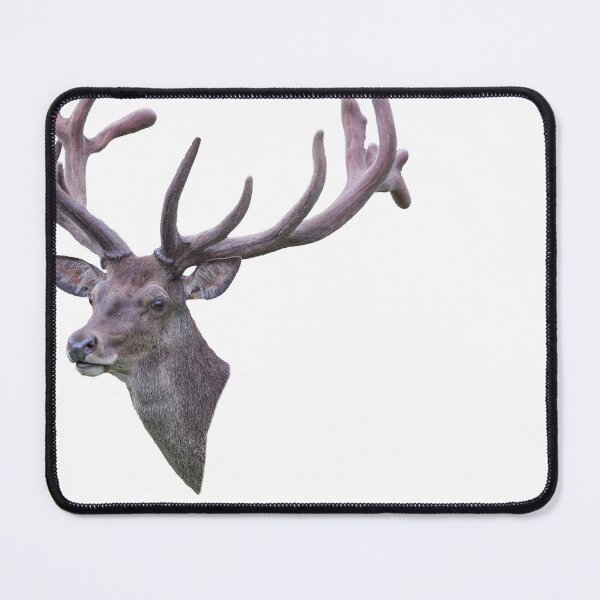 Item preview, Red deer in bast designed and sold by Ingo Gerlach.