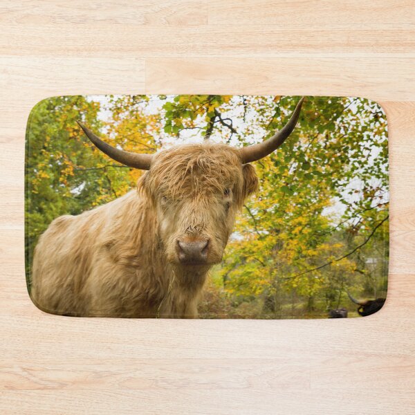 Item preview, Inquisitive Cow designed and sold by Jane Stanley Photography.