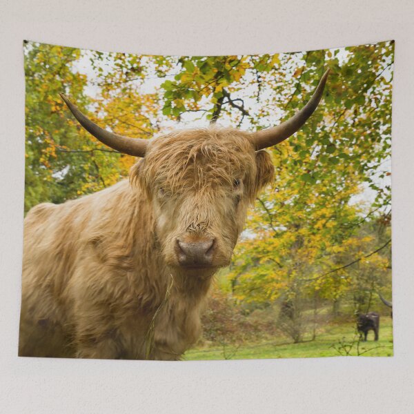 Item preview, Inquisitive Cow designed and sold by Jane Stanley Photography.