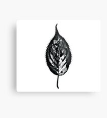 Scanned Leaf Metal Print