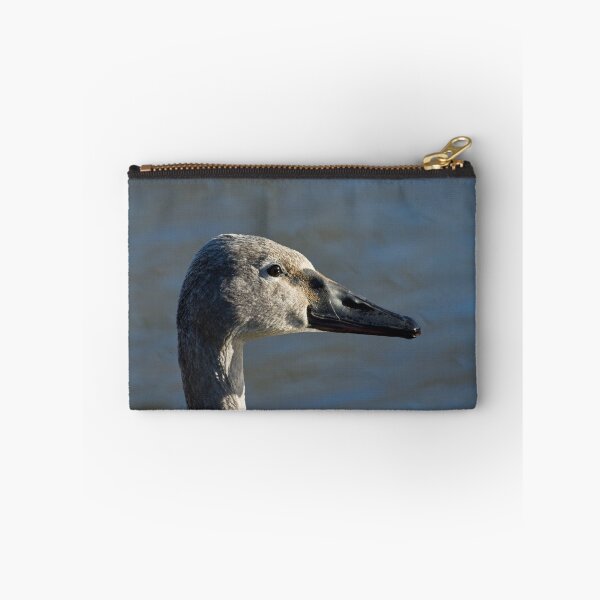 Item preview, Trumpeter Swan Cygnet designed and sold by Sue Robinson.