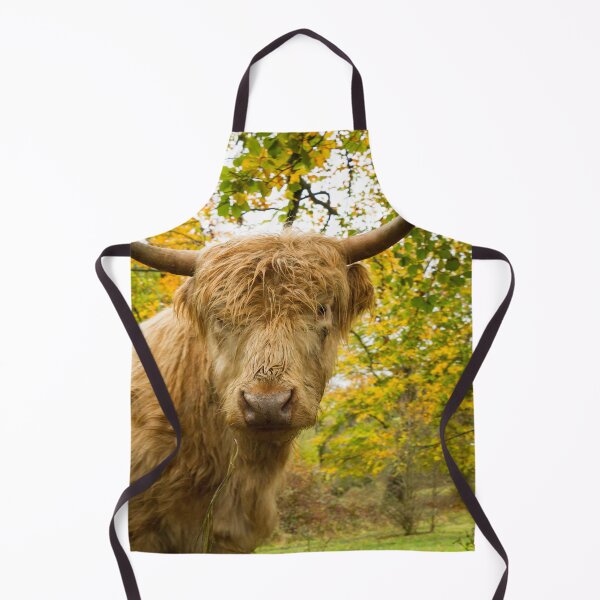 Item preview, Inquisitive Cow designed and sold by Jane Stanley Photography.