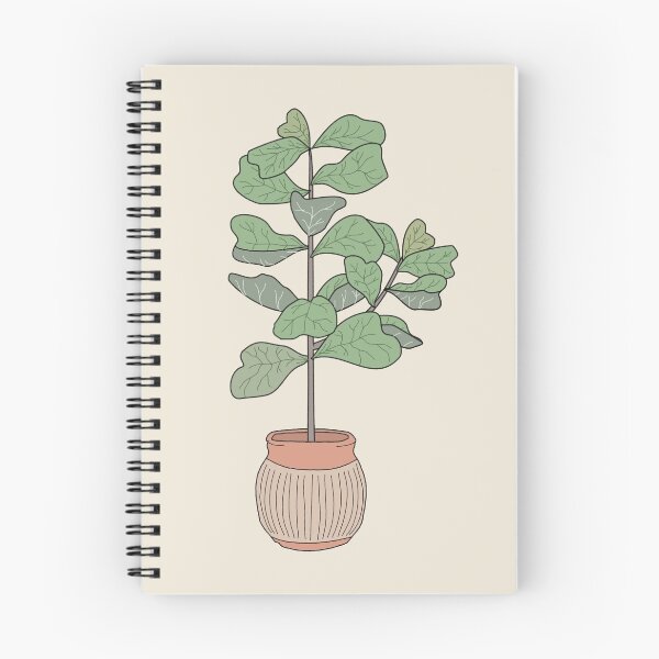 Item preview, Ficus Lyrata (Fiddle Leaf Fig) designed and sold by TASORA.