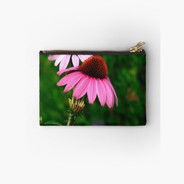 Item preview, Coneflower designed and sold by NatureGreeting Cards ©ccwri.