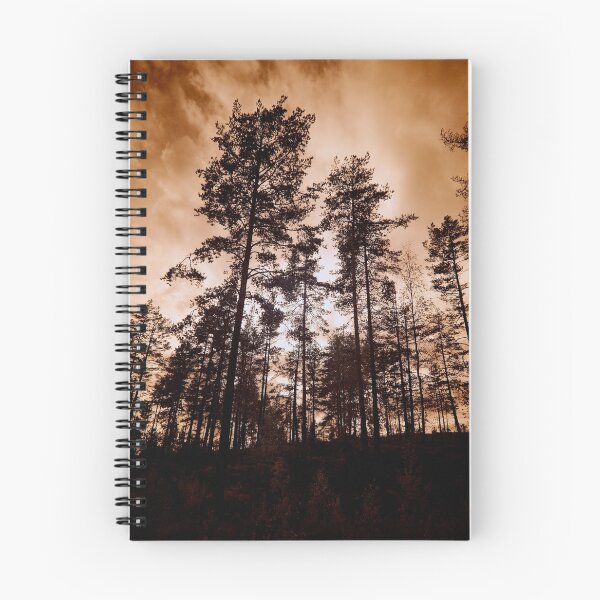 Item preview, Drama queens. Have you ever looked the pines this way designed and sold by Jouko Lehto Photography.