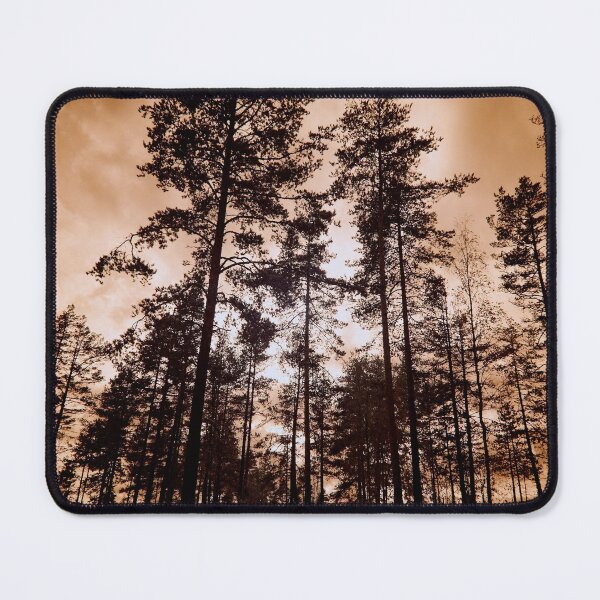 Item preview, Drama queens. Have you ever looked the pines this way designed and sold by Jouko Lehto Photography.