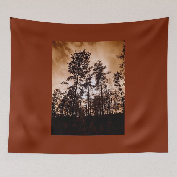 Item preview, Drama queens. Have you ever looked the pines this way designed and sold by Jouko Lehto Photography.